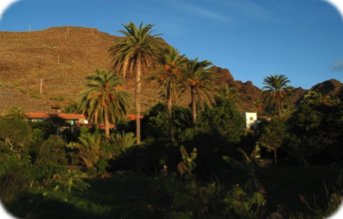 Palmen und Gärten der Finca