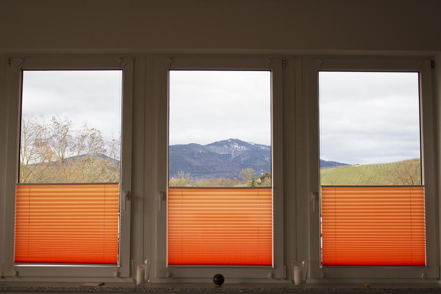 Blick aus den Fenstern des Übungsraums auf die Hügel des Markgräflerlands